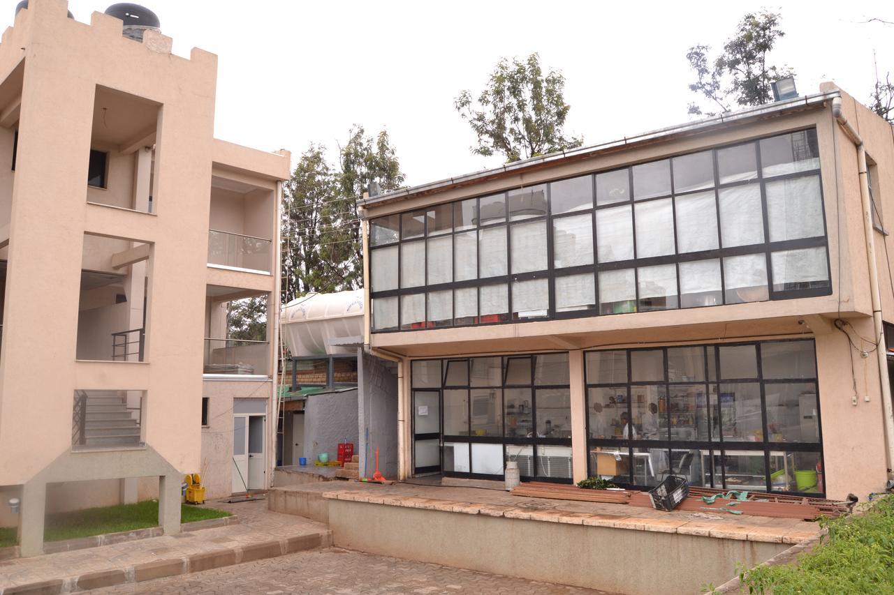 Grand Gato Hotel And Tours Harar エクステリア 写真